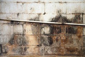 What Should you Do if There is Water Leaking into Your Basement?